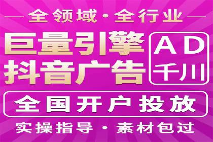 XX领域竞价广告的投放策略及效果展示